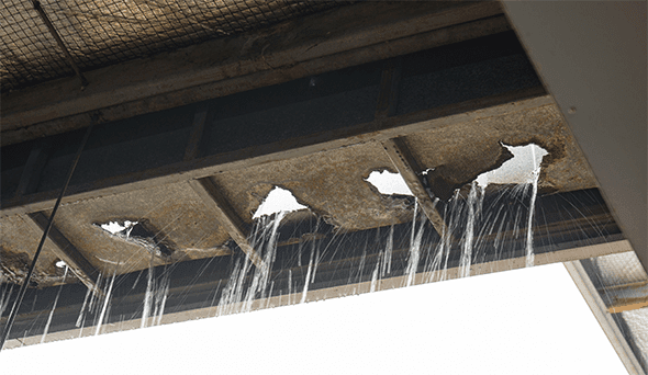 Battling the Elements: Dealing with a Leaky Roof in Portland